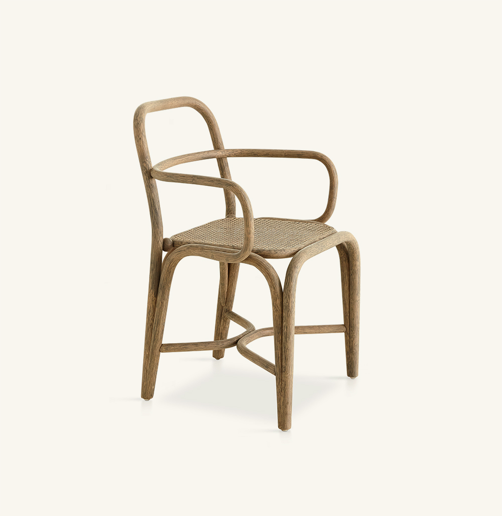 indoor collection - chairs - fontal dining armchair