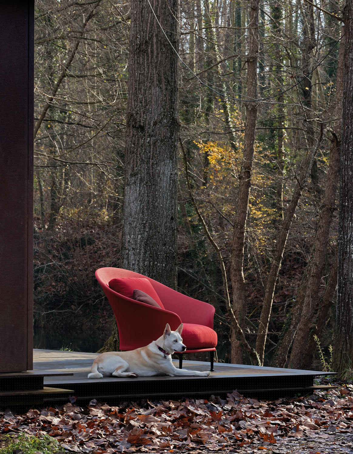 outdoor collection - armchairs - liz armchair outdoor collection - armchairs - liz armchair