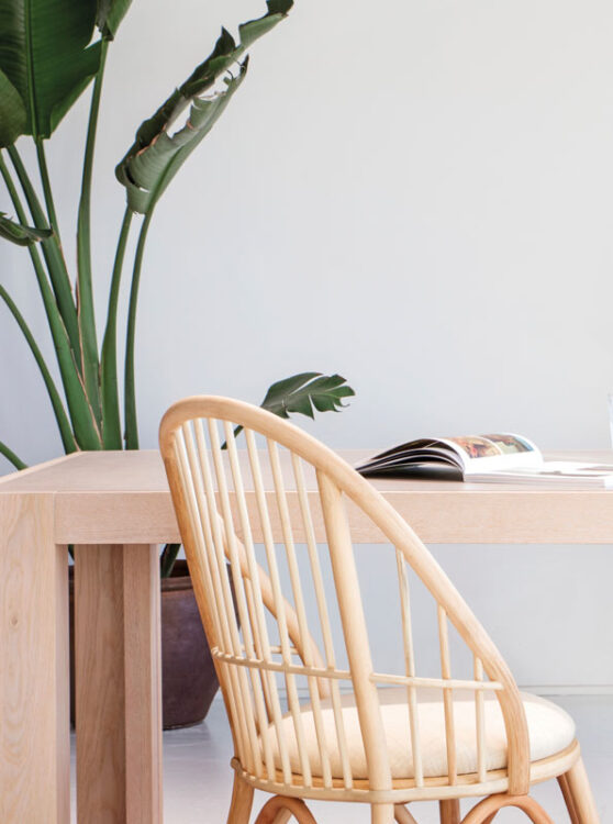 indoor collection - coqueta furniture family