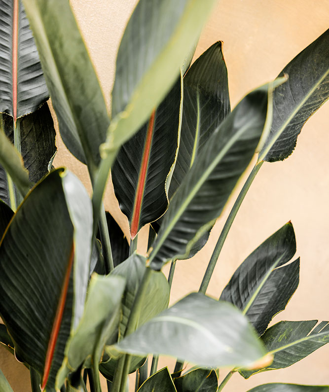 stories - roberto lazzeroni’s meridies for expormim to be unveiled at salone del mobile milano 2025