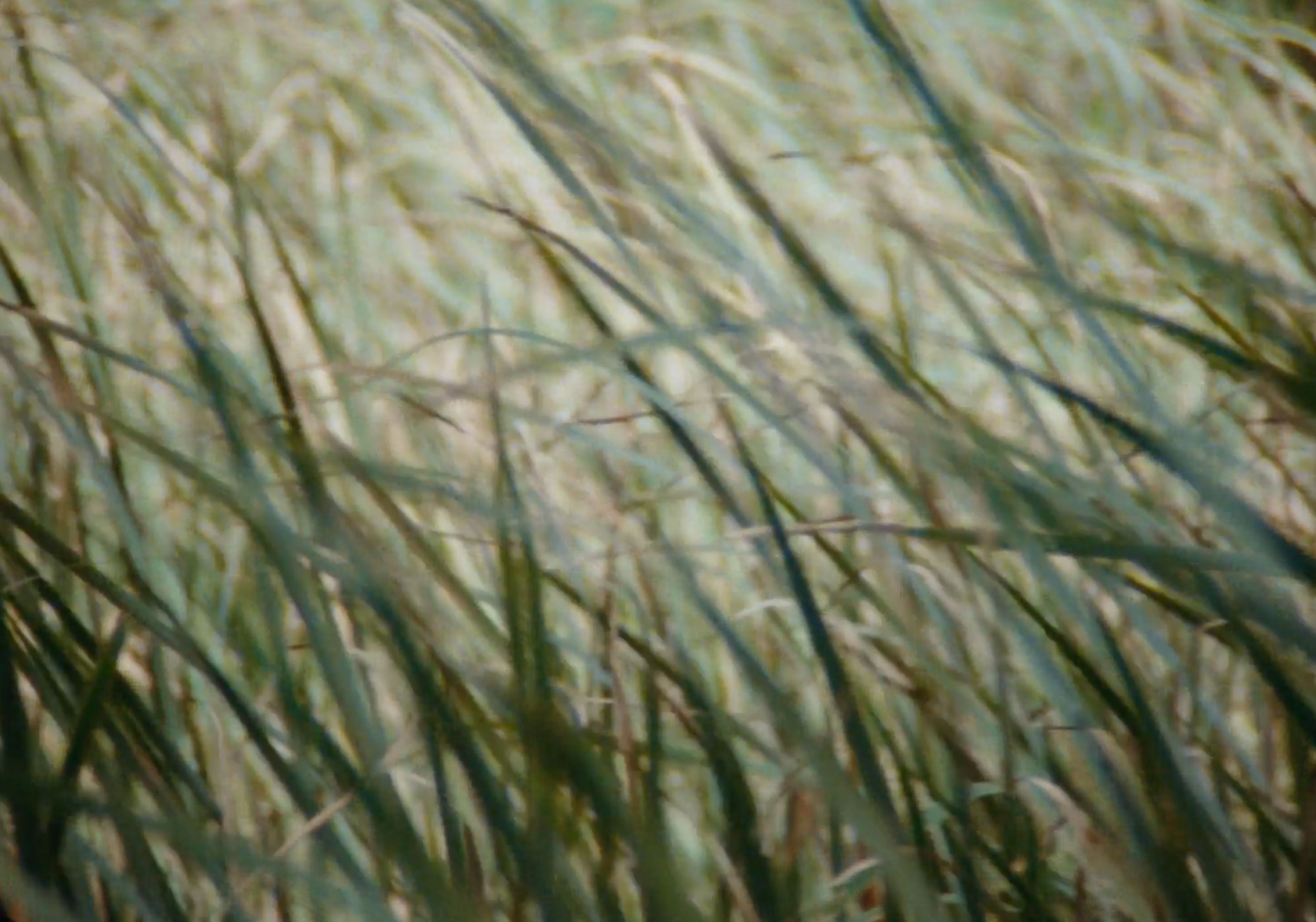  nature-based design for a more sustainable future