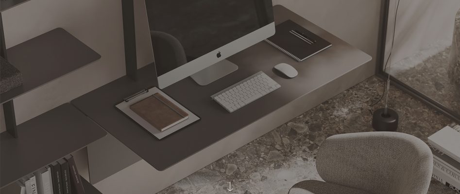 register to access our professional area 37